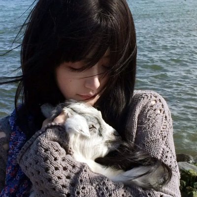 绝对统治海报